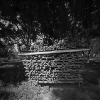 毒镜:大画幅针孔摄影照片