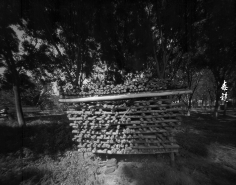 毒镜:大画幅针孔摄影照片